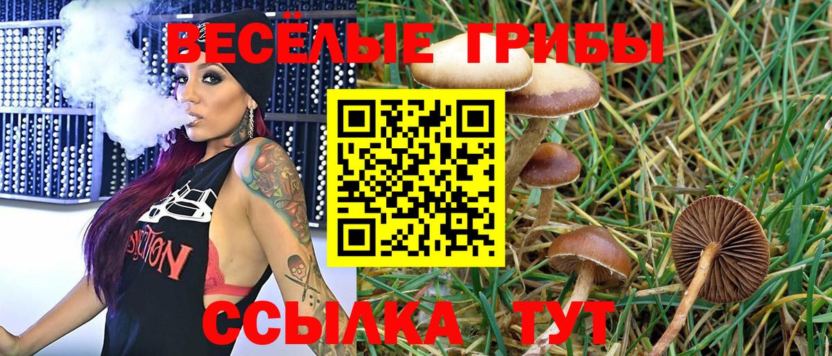 Джанкой  Галлюциногенные грибы Psilocybine cubensis  Вход с VPN 